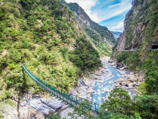 Taiwan's Hidden Harmony: Mountains, Tea & Coast - Image 5