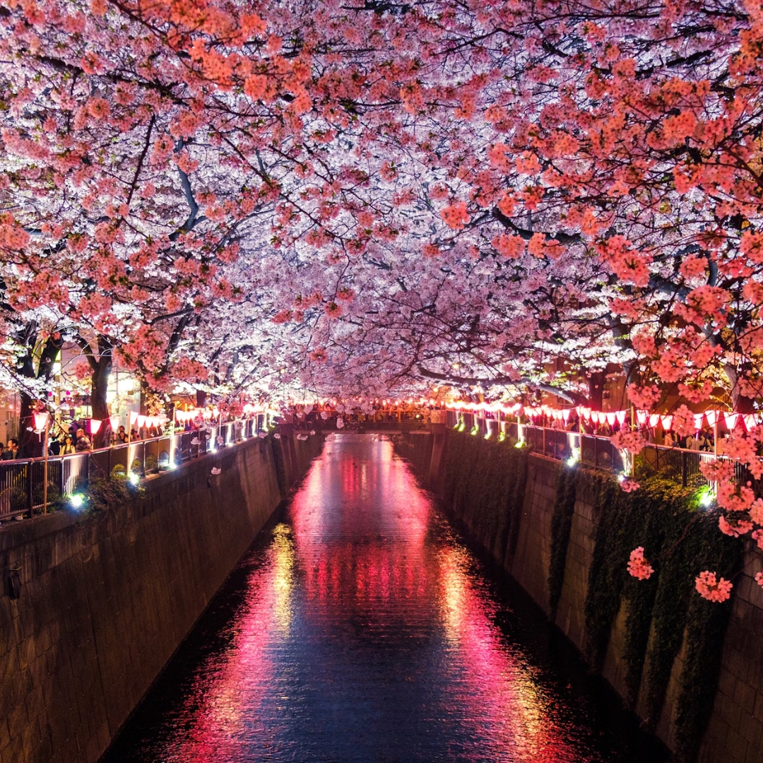 Meguro River
